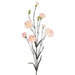 Floral Silk Carnation Cream & Pink Spray Carnation 71cm
