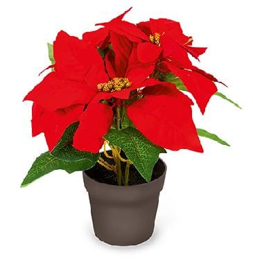 Premier Decorations Christmas Decoration Premier 24cm Red Poinsettia in Vase Premier 24cm Red Poinsettia in Vase