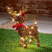 Premier Decorations Christmas Lights Premier 37cm Battery Operated Multi Action Lit Big Nose Reindeer with 40 Warm White LED and Timer Premier 37cm Battery Operated Multi Action Lit Big Nose Reindeer with 