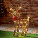 Premier Decorations Christmas Lights Premier 67cm Battery Operated Multi Action Lit Big Nose Reindeer with 80 Warm White LED and Timer Premier 67cm Battery Operated Multi Action Lit Big Nose Reindeer with 