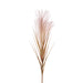 Floral Silk Reed Spray Brown Reed Spray 77cm In Cream Or Brown