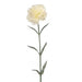 Floral Silk Carnation Cream Carnation 71cm