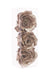 Floral Silk Clip On Decorations Champagne Glittered Rose Clip 7cm 3 Pack Various Colours