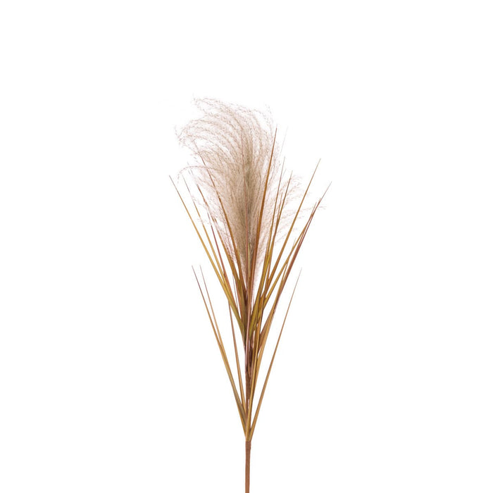 Floral Silk Reed Spray Cream Reed Spray 77cm In Cream Or Brown