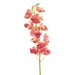 Floral Silk Cymbidium Princess Cymbidium Stem 78cm