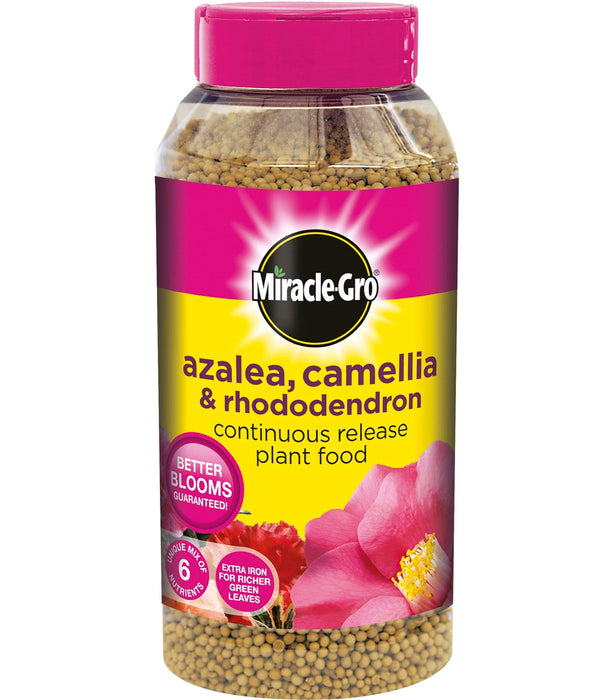 Miracle-Gro Ericaceous Plant Food Miracle-Gro Azalea, Camellia & Rhododendron Continuous Release Plant Food 1 kg shaker jar