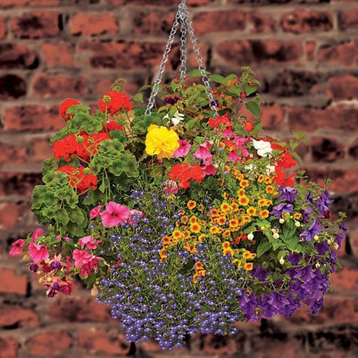 Garland Garden Accessories Garland 3-4 Arm Hanging Basket Chain