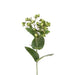 Floral Silk Hypericum Green Hypericum Stem 72cm