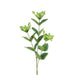Floral Silk Hypericum Mini Hypericum Spray 68cm Green