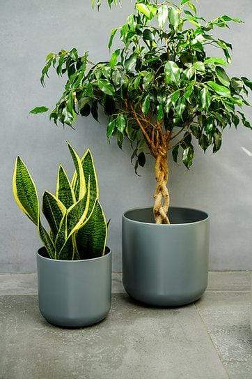 ivyline plant pots Ivyline Lisbon Plant Pot Charcoal