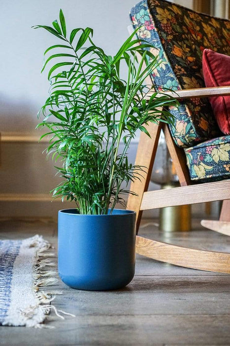ivyline plant pots Ivyline Lisbon Plant Pot Teal