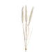 Floral Silk Pampas grass Natural Bunny Tail Bundle 48cm in Light Pink Or Natural