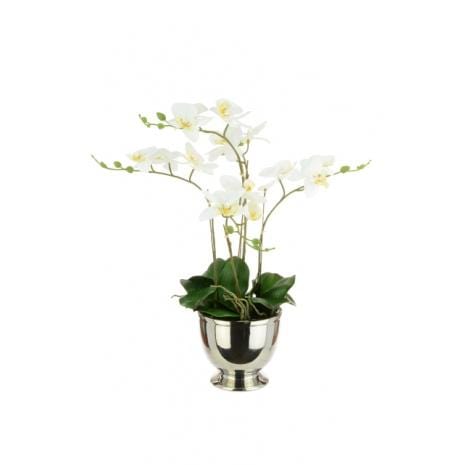 Floral Silk Orchids Phalaenopsis Centre Piece in Silver Pot
