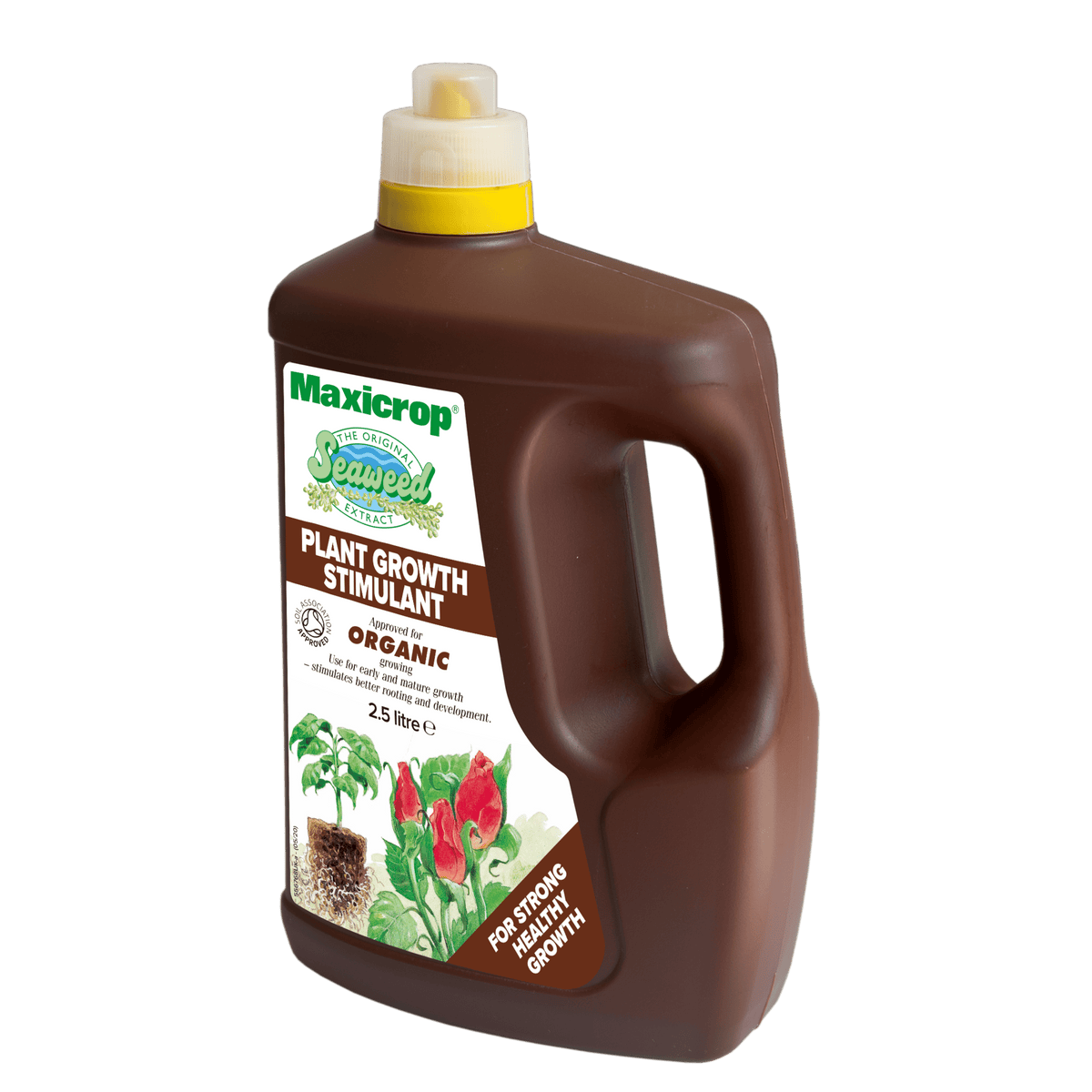 Maxicrop Organic Seaweed Plant Food 2.5L Concentrate — Windlebridge