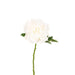 Floral Silk Peonies White Blush Peony 62cm