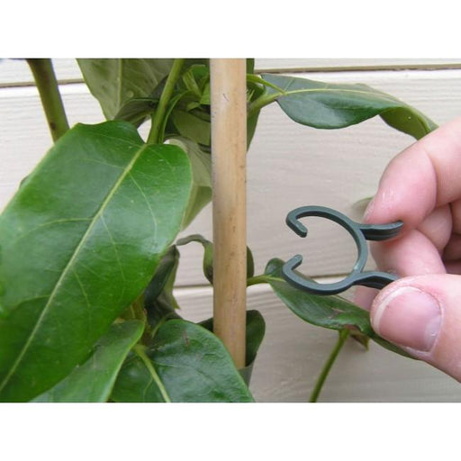 Garland Plant Clips & Rings Garland Plants Clips 50 Pack 2 Sizes