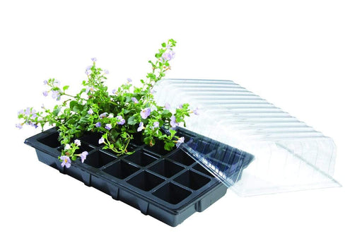 Garland Propagator Garland Standard Propagator