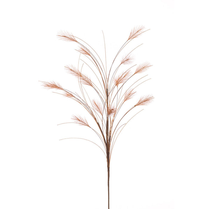 Reed Spray 79cm Brown — Windlebridge Garden Nursery