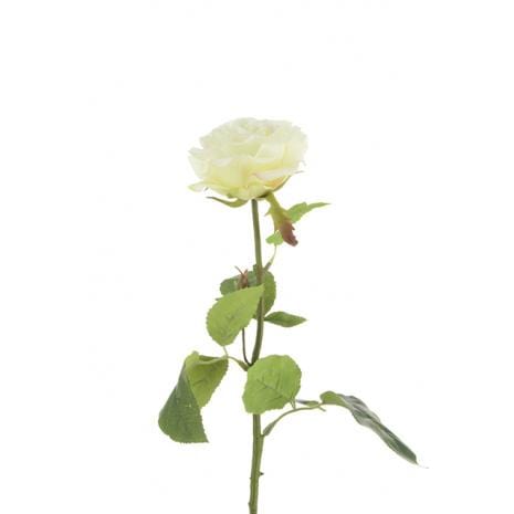 Floral Silk Roses Cream Single Rose 67cm