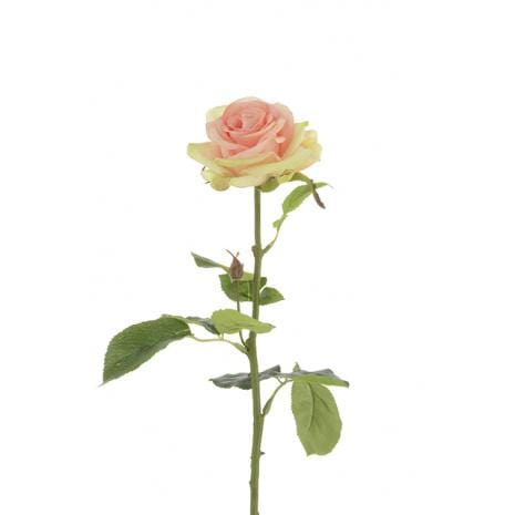 Floral Silk Roses Peach Single Rose 67cm