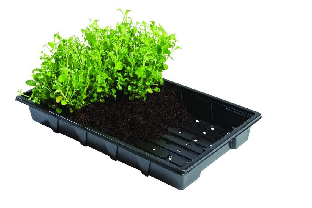 Garland Seed Trays Professional 40 Cell Inserts 5 pack