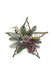 Floral Silk Star Hawes Berry Rattan Star 33cm