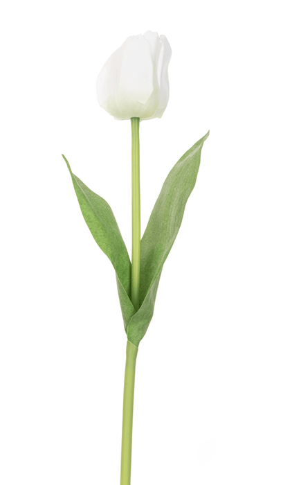 Floral Silk Tulips White Tulip