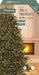 Premier Decorations Christams Lights Warm White Premier 750 LED Treebrights Christmas Lights